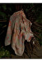 Eternal Spring - Peach Cotton Shawl - 4