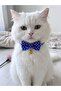 Bow Tie Cat Collar Set of 3 Adjustable Bow Tie with Bowknot Bell - 2