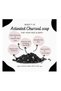 Arogya Activated Charcoal Soap 100g – Deep Cleansing Ayurvedic Bar for Detoxified, Clear & Oil-Free Skin - 8
