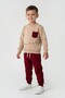Button Detailed, Cotton Burgundy Boys' Suit - 2