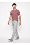 Burgundy Men's Slim Fit Melange T-Shirt Ace091262933 - 3