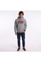 Cotton Hooded Gray Men's Sweat Standard Graphic Hoodie - 3