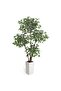 1pc PE Artificial White-edged Ficus Tree in Tall Pot - Fashionable, Green, and Suitable for Decoration