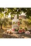 Il Frutteto Fig & Almond Milk Liquid Hand & Face Soap 500ml — Soothing Pump Soap with Sweet Almond — Made in Florence Italy — Natural Moisturising Hand Wash with Love and Care