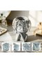 Marketplace Beram Bonsai Craft Vase Dreaming Doll Grey Polyresin Decorative Flower Pot Elegant Succulent Planter Indoor Outdoor Home Office Desk Decor Pen Pencil Holder Propagator Kit Gift (Dream) - 2
