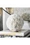 Shell Ball
