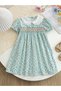 Girls Floral Print Smocked A-Line Dress