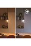 Bec LED inteligent WFB P45 922-65 - 8