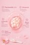 Pink Capsule Face Cream – Skin Brightening, Vitamin C Intensive Moisturizer, and Anti-Blemish Face Cream - 2