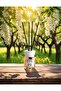 Acacia Reed Diffuser 120ml | Floral Room Fragrance with 6 Bamboo Sticks | Long Lasting Home Scent - 2