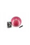 YB01 Minge de gimnastică 65CM Prun - 2