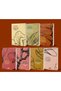 Kayıp Zamanın İzinde Seti - 7 Book Set / Marcel Proust