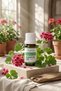 Naturally Fragrant Geranium Oil 100% Natural Care Oil Geranium Essential Oil 10 ml - 5