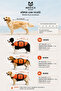 Dog Life Jacket Pawsaver Easy Lift with Handles - 2