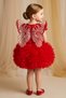 Baby Girl Birthday Party Wedding Dress Tulle Tutu Lined Children's Clothing Baby Clothing Elbyknt - 2