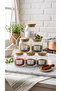 Bamboo & Stylish Vacuum Lid 6-Piece Glass Spice Set 300ML