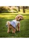 Lady Small Breed Dog Dress with Denim Skirt - 2