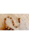 Kok Timah Wood Prayer Beads - 5