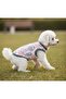 Miniş Cute Monsters Small Breed Dog Flexible Combed Cotton T-Shirt