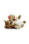 3.5CM 10 PCS 10pcs Colorful Pet Cat Kitten Soft Foam Rainbow Play Balls Funny Activity Toys - 4