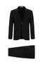 Regular Fit Classic Pattern Suit