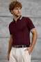 Men's T-Shirt Dpp Striped Collar Knitwear Claret Red Slim Fit Polo Collar Knitwear