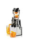 250W Large Caliber Multi-Purpose Slow Juicer – Nutrient-Preserving Seven-Segment Extrusion System - 3