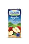 Pure Red Apple 100% Fruit Juice - 3