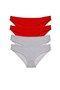 Glb-Stl41414 4 Pieces Eco Set Lycra Women's Slip Panties Red Gray