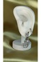 Moon Star Figured Zircon Stone Earring Set