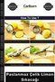 Special Production Manual Ergonomic Metal Kitchen Bar Type Quality Fruit Juicer Stainless Steel Limo - 4