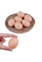 30 Pieces of Plastic Chicken Egg Toys, Painting Eggs in the Net, Paintable Eggs - 3