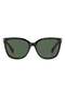 PLD 6229/CS HAVANA for WOMAN Sunglasses 55 mm - 3