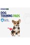 Training Pads Lemon 30's (60x90cm) – Extra Large Rapid-Dry Leak-Proof Pads,Scented, 6 Layers Quilted, Superior Absorption, Odor Control Pee Pads, Pet Training for Dogs, Cats, Rabbits - 2
