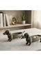 Mini Dachshund Decorative Stand for Small Plants and Objects - 3