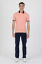 Polo Collar Cotton Pique T-Shirt - 5