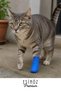 # Pawbandage Waterproof Cat Dog Paw Bandage Self-Adhesive Flexible Wound Wrap Tape 1Pc Cat Dog Paw Protective Bandage Water Resistant Pet Medical Wrap Cloth - 3