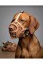Premium Knitted Basket Dog Muzzle Set of 7 Sizes