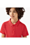 Collared Short Sleeves Polo T-shirt with Button Placket - 4