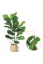 Artificial Fiddle Leaf Fig Tree 39 Inch – Realistic Faux Indoor Plant with Lifelike Leaves & Wood Trunk, Easy Assembly, Decorative Floor Tree for Home or Office - 6