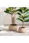 Nico Stoneware Planter With Gold Finish 34x34x20cm - Beige - 3