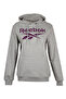 Big Logo Oth Hood - 4W,Ri Ft, Grey Melange