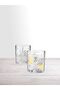 Viski 205 Cc 4-Pack Gift Box 931845 - 2