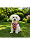 Air -Mesh Small and Medium Breed Cat Dog Chest Harness Soft, Breathable, Extra Durable - 2