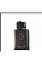 Night Club absolute eau de parfume 100ml - 2