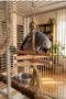 Parrot Stress Toy Natural Wood Chewing and Shredding Bird Toy