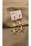 Earring sea star brand model
