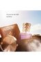 Voyageur 100ml- Edp - For Him - 3