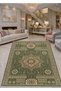 Sdt Traditional Patterned Modern Woven Base Decorative Carpet Sdtamor2589