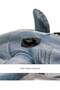 Inflatable Pool Float - Great White Shark Ride-On, 68" X 42" - 3